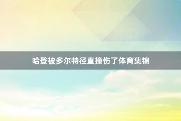 哈登被多尔特径直撞伤了体育集锦