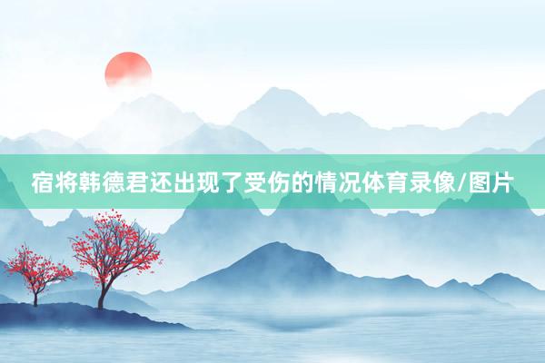宿将韩德君还出现了受伤的情况体育录像/图片