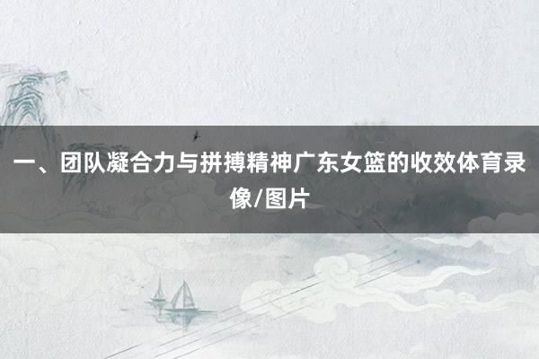 一、团队凝合力与拼搏精神广东女篮的收效体育录像/图片