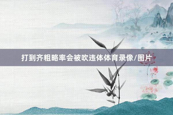 打到齐粗略率会被吹违体体育录像/图片