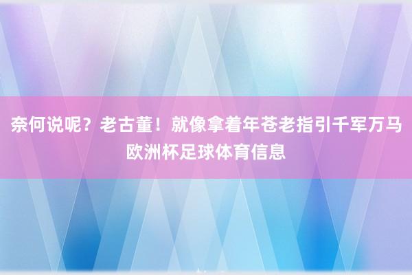 奈何说呢？老古董！就像拿着年苍老指引千军万马欧洲杯足球体育信息