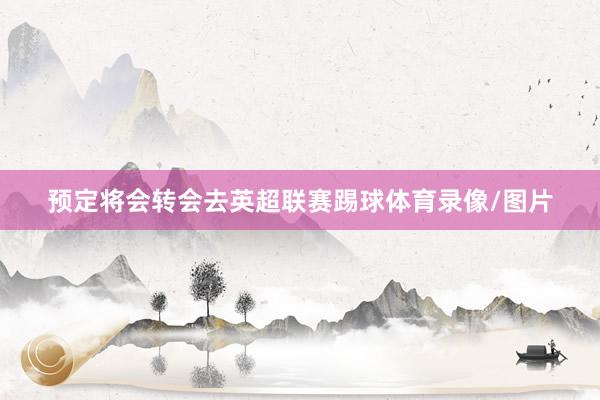 预定将会转会去英超联赛踢球体育录像/图片