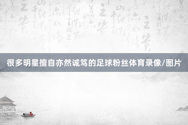 很多明星擅自亦然诚笃的足球粉丝体育录像/图片