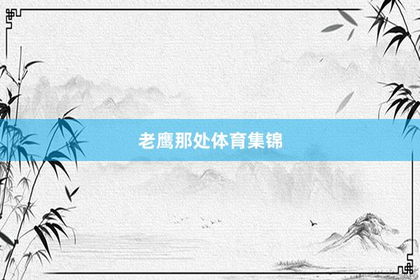 老鹰那处体育集锦
