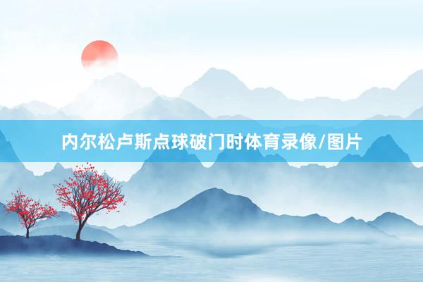 内尔松卢斯点球破门时体育录像/图片
