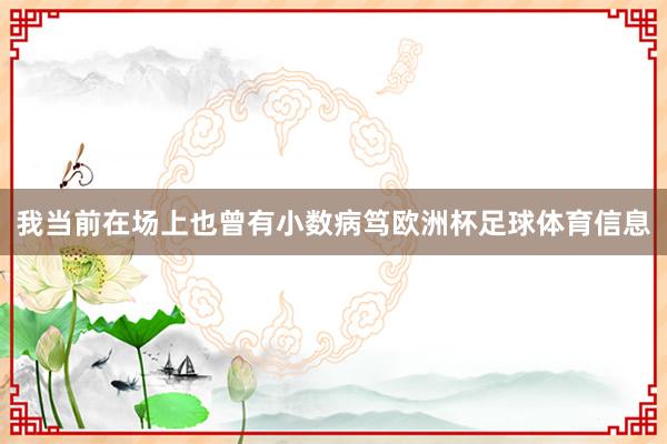我当前在场上也曾有小数病笃欧洲杯足球体育信息