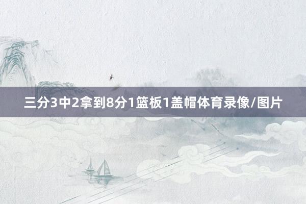 三分3中2拿到8分1篮板1盖帽体育录像/图片