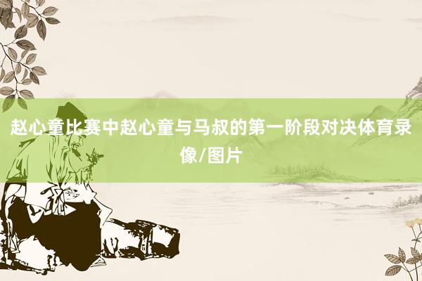 赵心童比赛中赵心童与马叔的第一阶段对决体育录像/图片