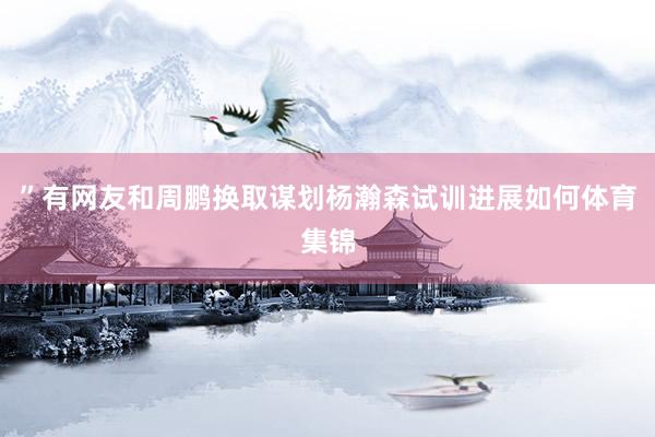 ”有网友和周鹏换取谋划杨瀚森试训进展如何体育集锦