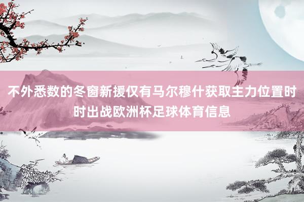 不外悉数的冬窗新援仅有马尔穆什获取主力位置时时出战欧洲杯足球体育信息