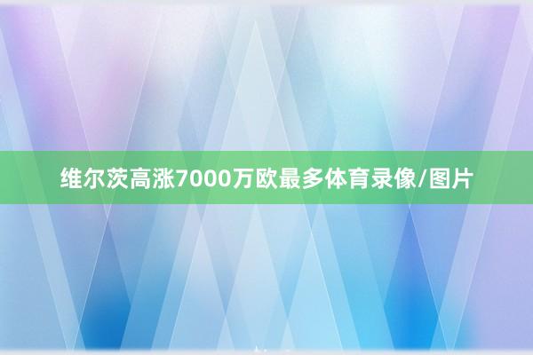 维尔茨高涨7000万欧最多体育录像/图片