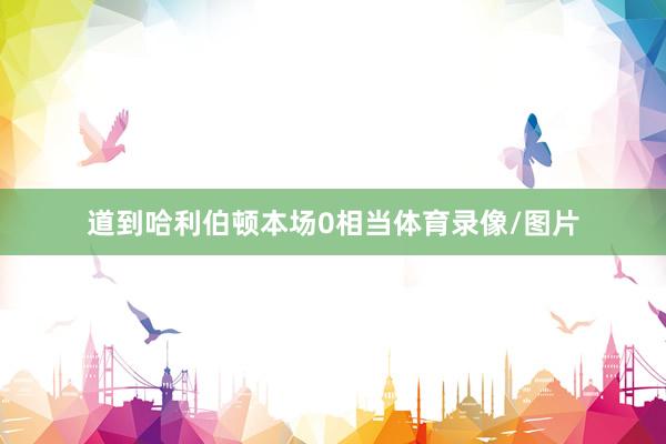 道到哈利伯顿本场0相当体育录像/图片