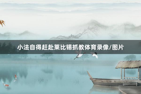 小法自得赶赴莱比锡抓教体育录像/图片