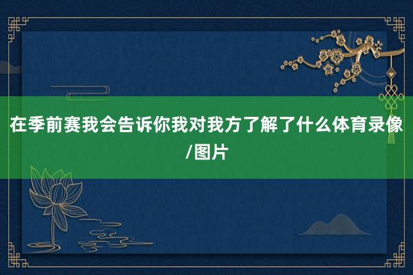 在季前赛我会告诉你我对我方了解了什么体育录像/图片
