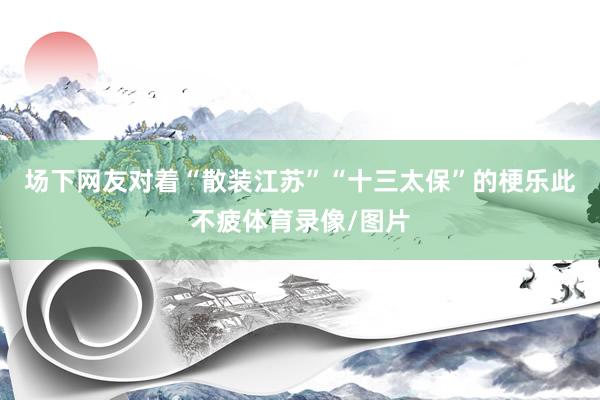 场下网友对着“散装江苏”“十三太保”的梗乐此不疲体育录像/图片