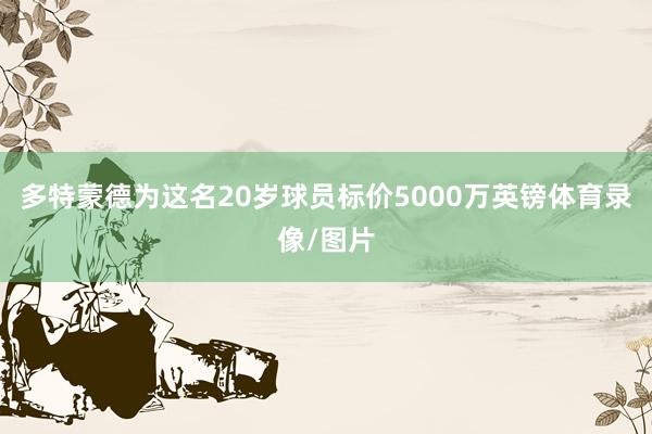 多特蒙德为这名20岁球员标价5000万英镑体育录像/图片