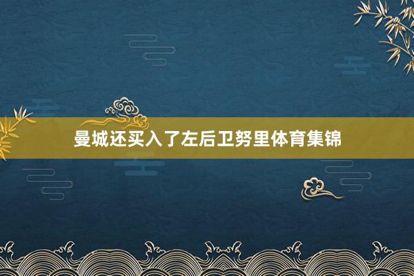 曼城还买入了左后卫努里体育集锦