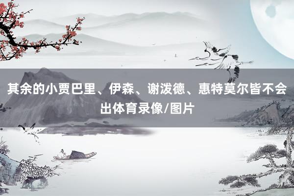 其余的小贾巴里、伊森、谢泼德、惠特莫尔皆不会出体育录像/图片