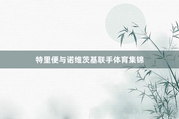 特里便与诺维茨基联手体育集锦