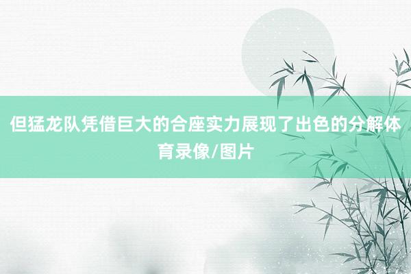 但猛龙队凭借巨大的合座实力展现了出色的分解体育录像/图片
