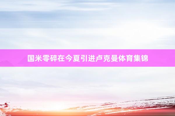 国米零碎在今夏引进卢克曼体育集锦