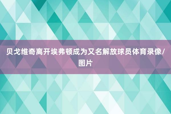 贝戈维奇离开埃弗顿成为又名解放球员体育录像/图片