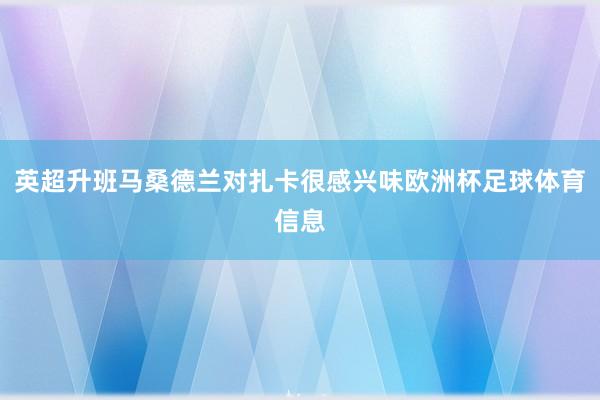 英超升班马桑德兰对扎卡很感兴味欧洲杯足球体育信息