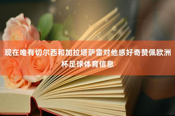 现在唯有切尔西和加拉塔萨雷对他感好奇赞佩欧洲杯足球体育信息