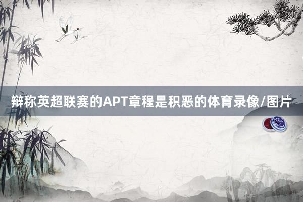 辩称英超联赛的APT章程是积恶的体育录像/图片