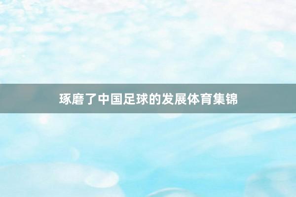 琢磨了中国足球的发展体育集锦