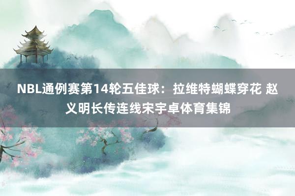 NBL通例赛第14轮五佳球：拉维特蝴蝶穿花 赵义明长传连线宋宇卓体育集锦
