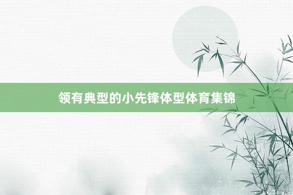 领有典型的小先锋体型体育集锦