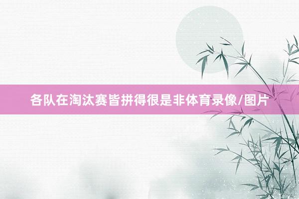 各队在淘汰赛皆拼得很是非体育录像/图片