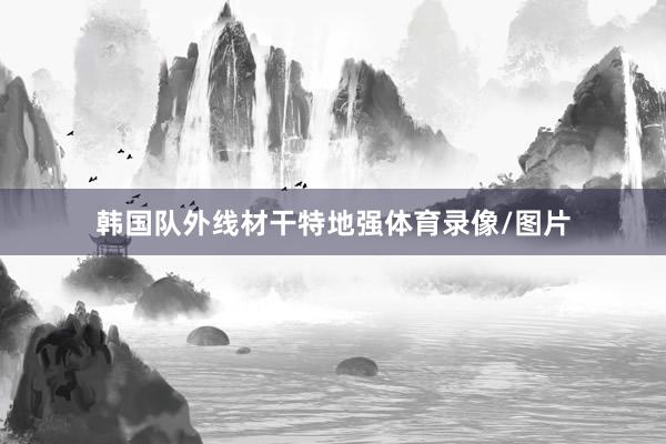 韩国队外线材干特地强体育录像/图片