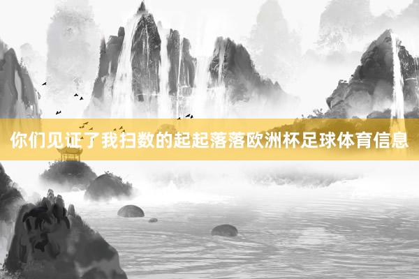 你们见证了我扫数的起起落落欧洲杯足球体育信息