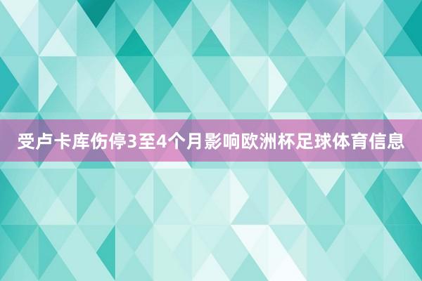受卢卡库伤停3至4个月影响欧洲杯足球体育信息