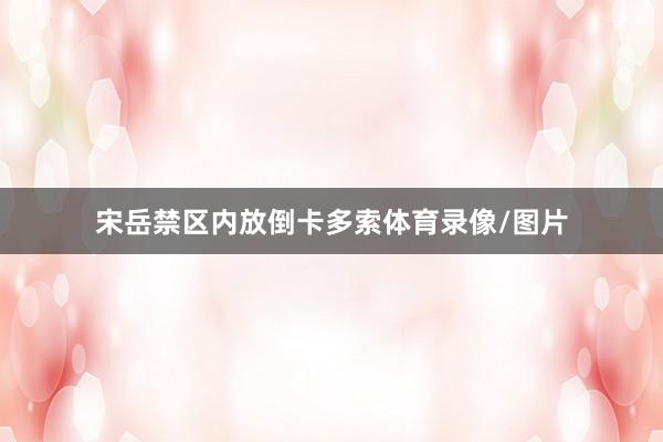 宋岳禁区内放倒卡多索体育录像/图片
