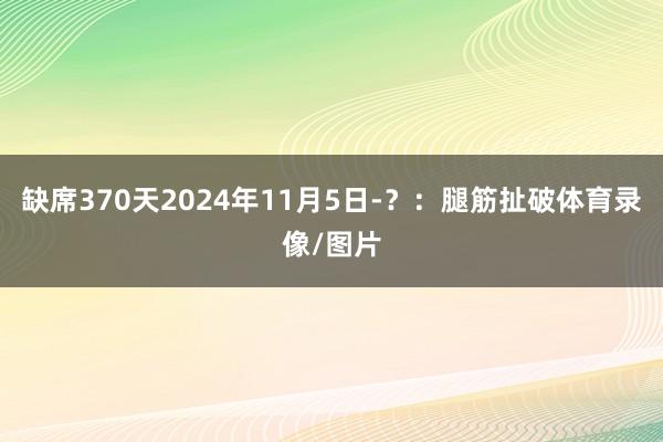 缺席370天2024年11月5日-？：腿筋扯破体育录像/图片