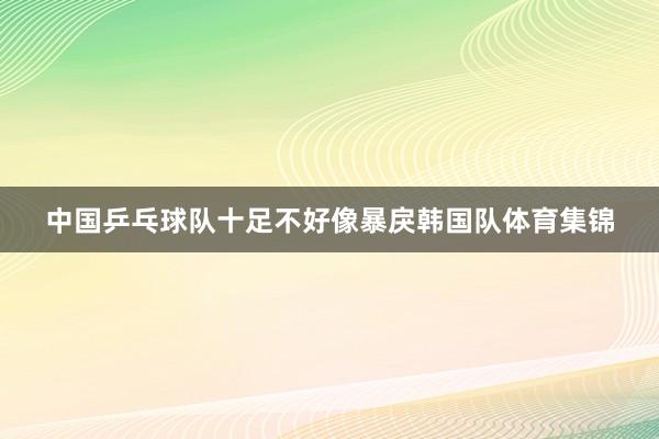 中国乒乓球队十足不好像暴戾韩国队体育集锦
