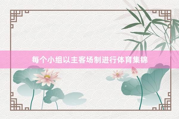 每个小组以主客场制进行体育集锦