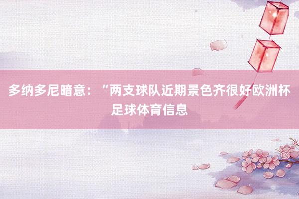 多纳多尼暗意：“两支球队近期景色齐很好欧洲杯足球体育信息