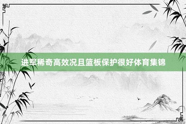 进军稀奇高效况且篮板保护很好体育集锦