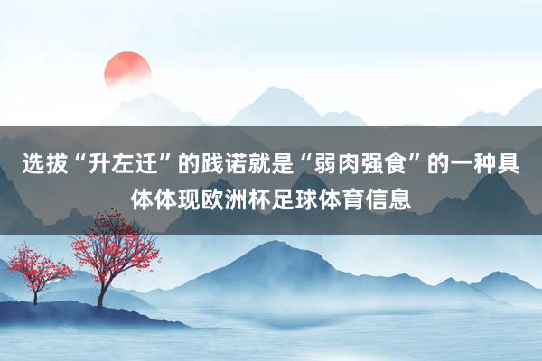 选拔“升左迁”的践诺就是“弱肉强食”的一种具体体现欧洲杯足球体育信息