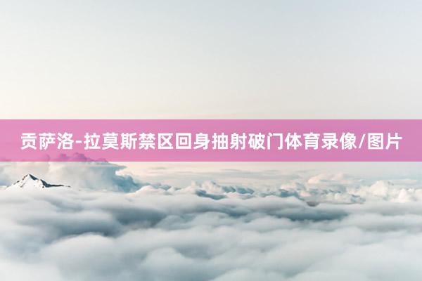 贡萨洛-拉莫斯禁区回身抽射破门体育录像/图片