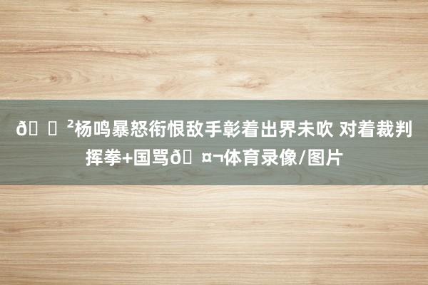 😲杨鸣暴怒衔恨敌手彰着出界未吹 对着裁判挥拳+国骂🤬体育录像/图片