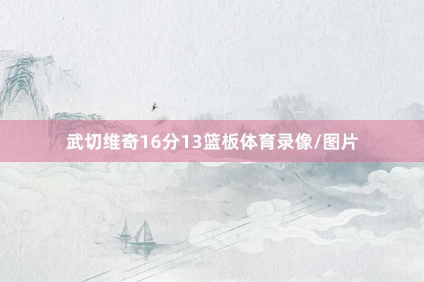 武切维奇16分13篮板体育录像/图片
