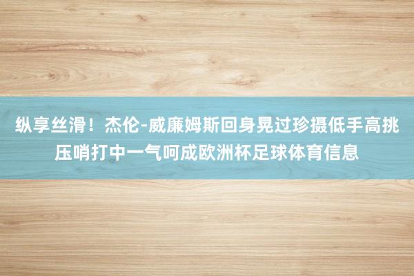 纵享丝滑！杰伦-威廉姆斯回身晃过珍摄低手高挑压哨打中一气呵成欧洲杯足球体育信息