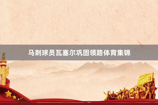 马刺球员瓦塞尔巩固领路体育集锦