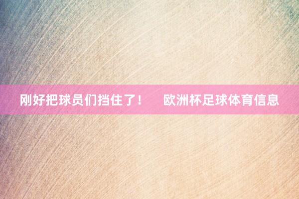 刚好把球员们挡住了！    欧洲杯足球体育信息