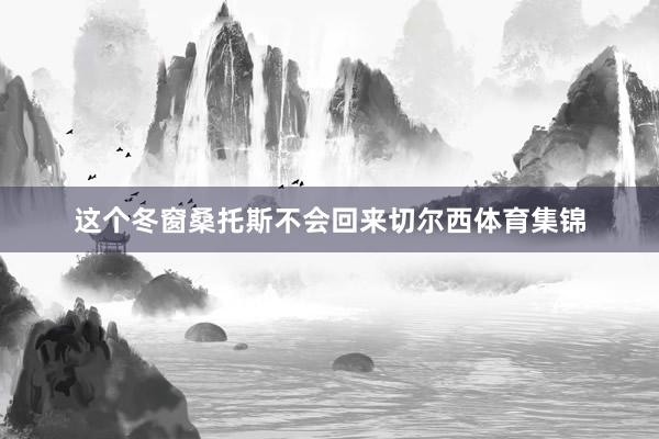这个冬窗桑托斯不会回来切尔西体育集锦